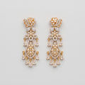 Priya Sparkle Earrings